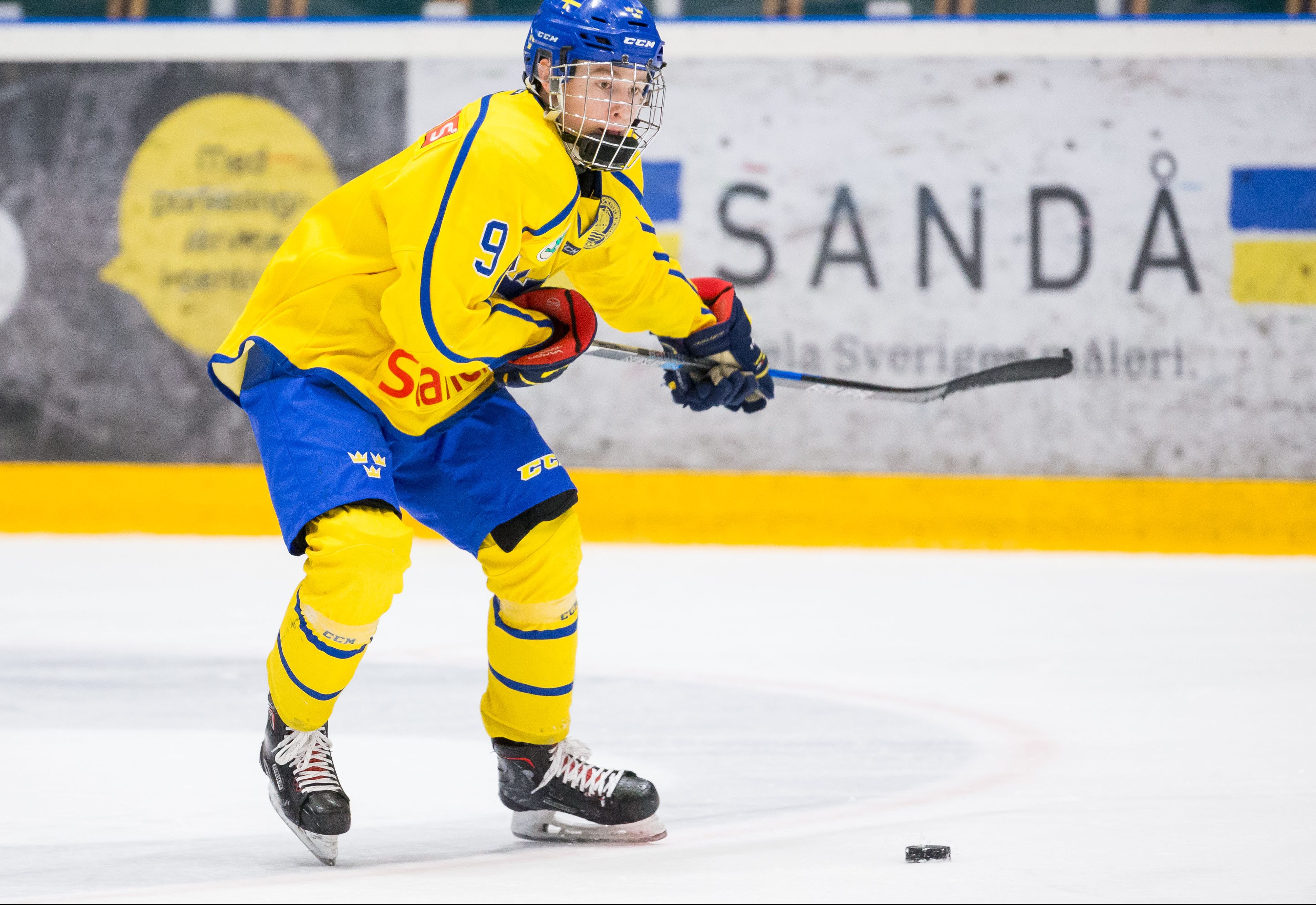 Team Sweden Hockey 
